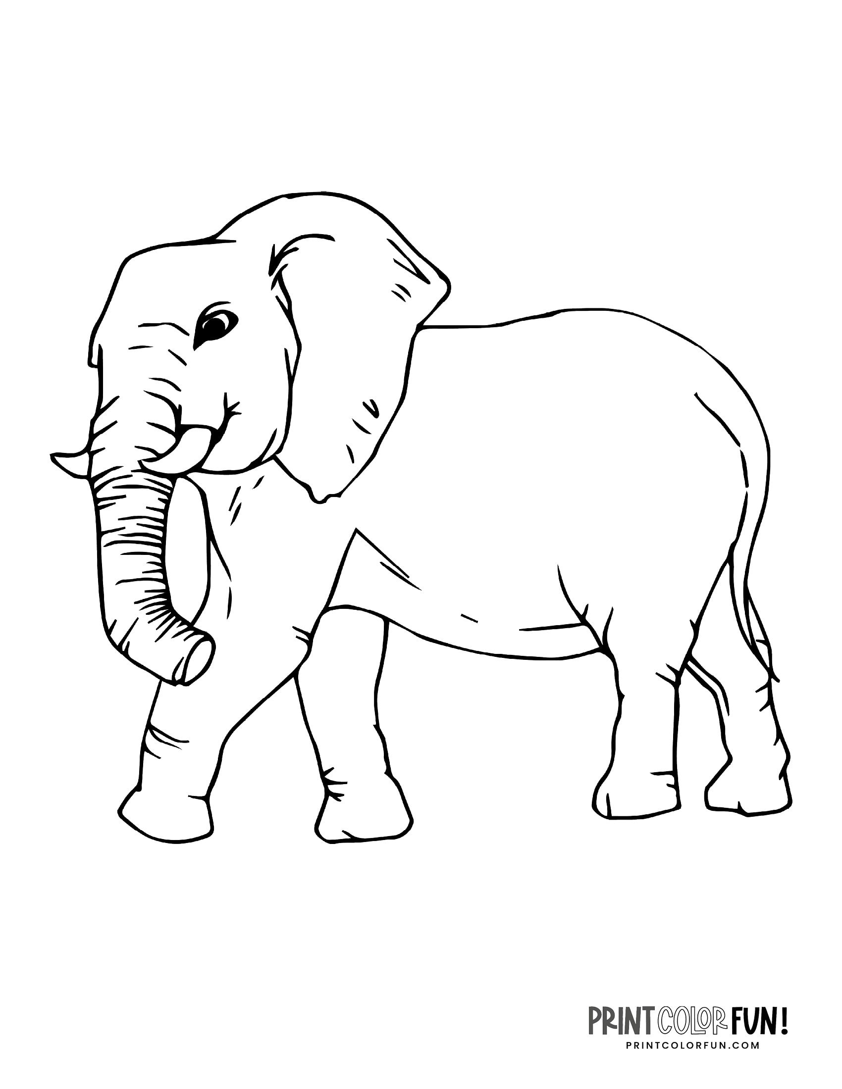 Cartoon Elephant Coloring Pages