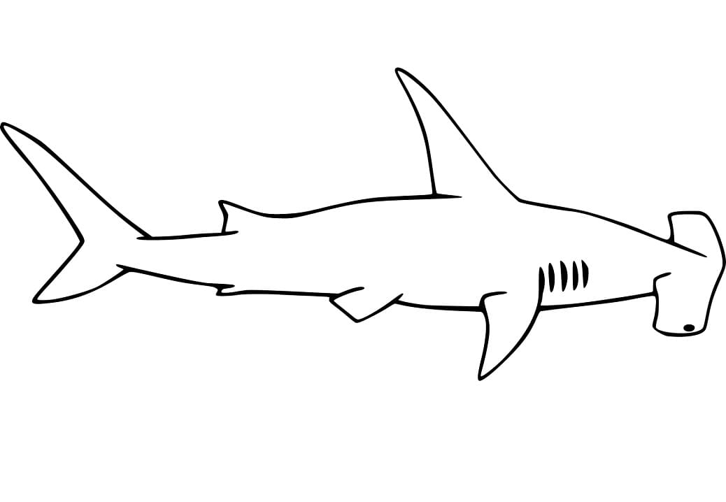Cartoon Hammerhead Shark Coloring Page Free Printable Coloring Pages