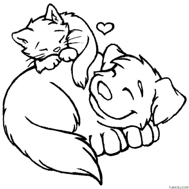 Cat Dog Coloring Pages Coloring Pages
