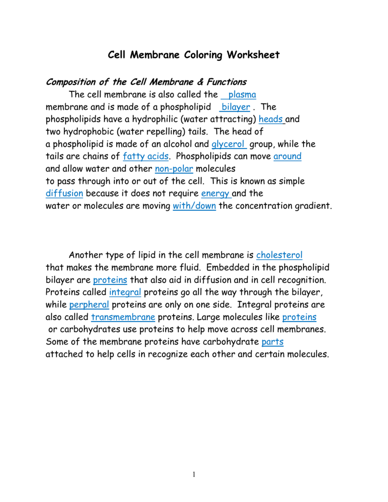 Cell Membrane Answer Key Db excel