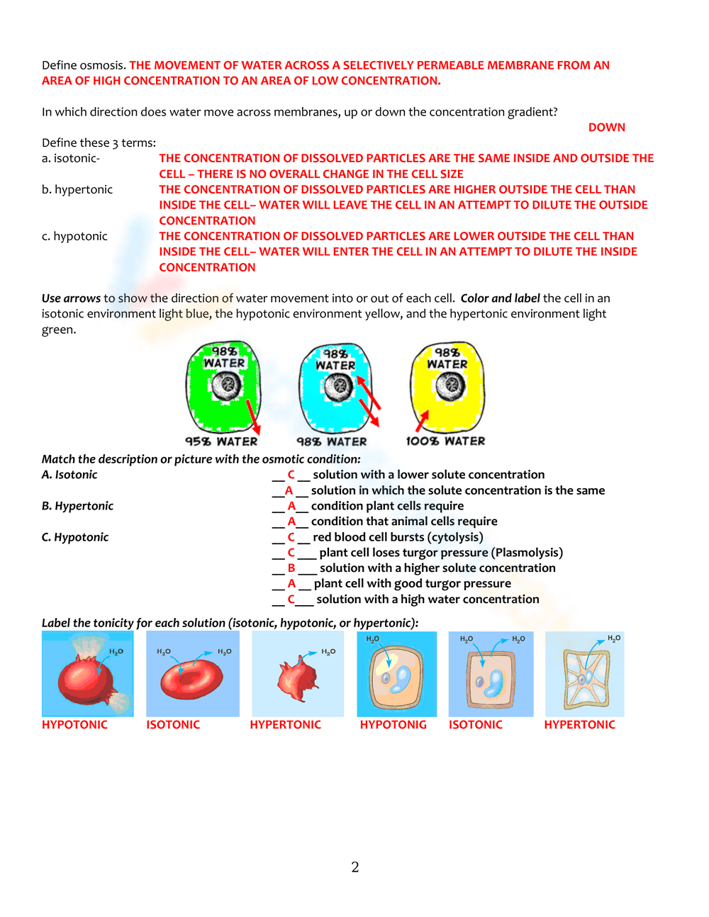 Cell Membrane Tonicity Worksheet Worksheet Worksheets Library