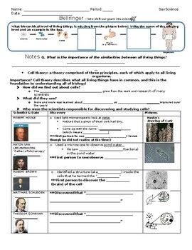 Cell Theory Worksheet Cell Theory Worksheets Theories