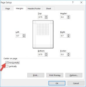 center the worksheet horizontally on the page