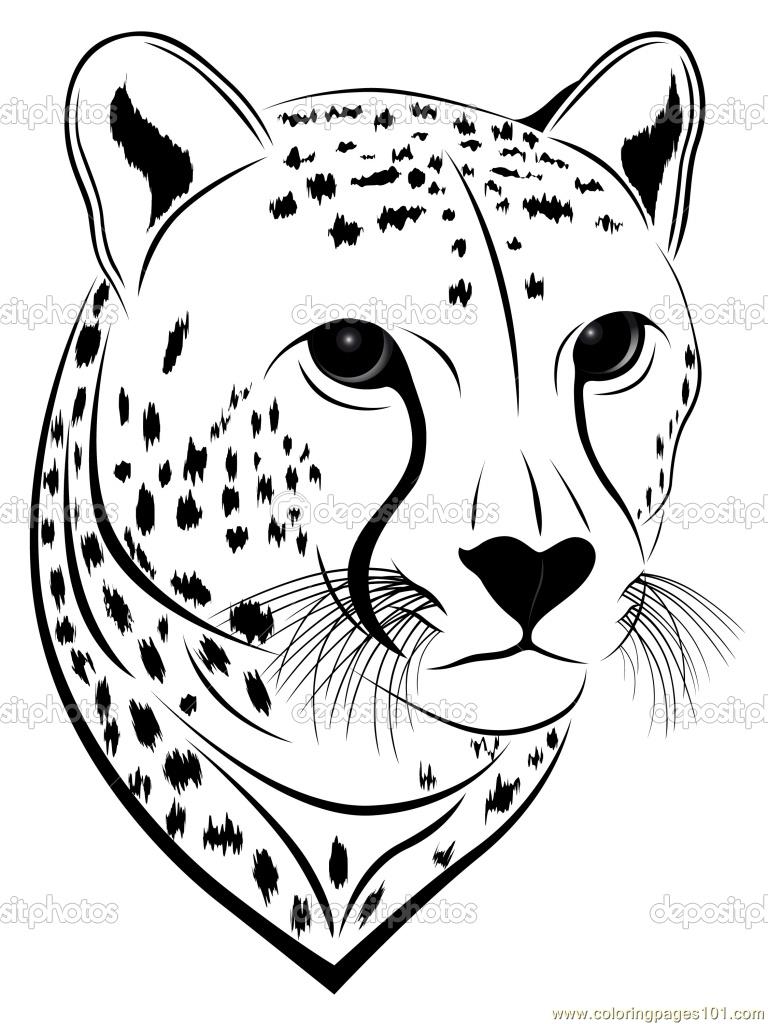 printable cheetah pictures to color