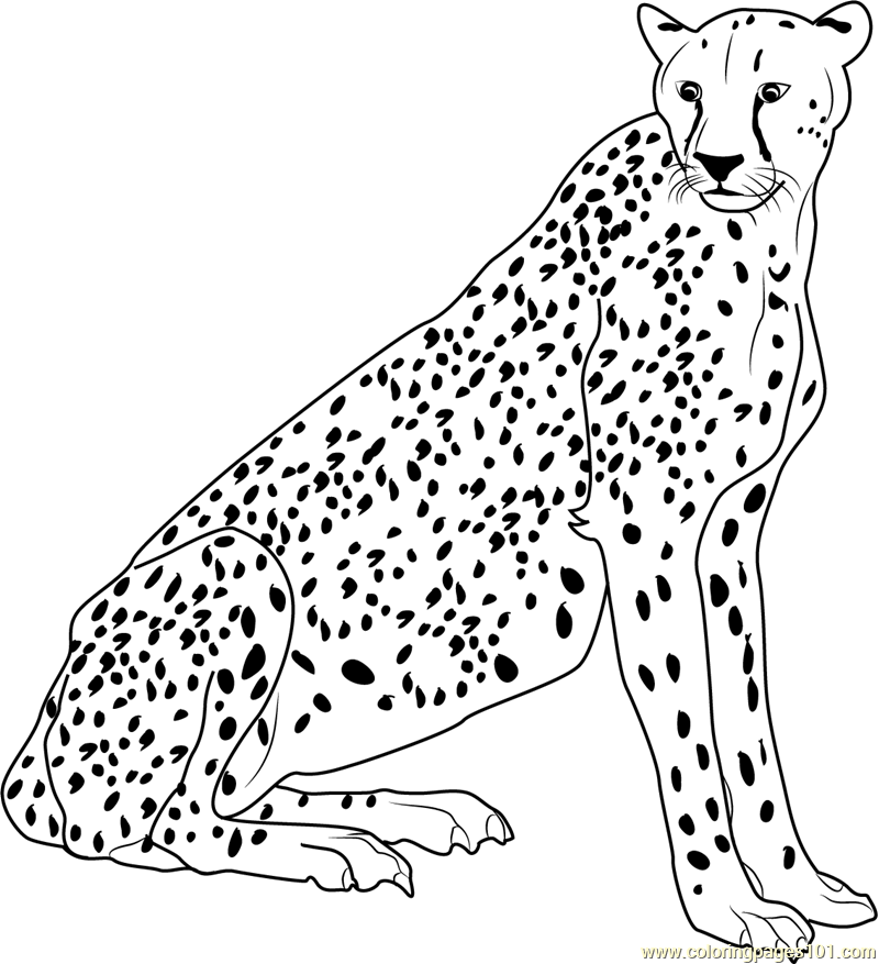 Cheetah Relaxing Coloring Page For Kids Free Cheetah Printable 