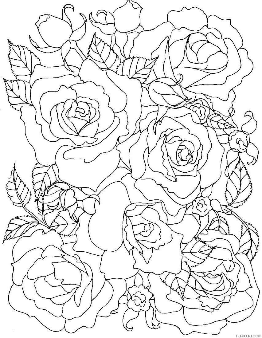 Roses Coloring Page