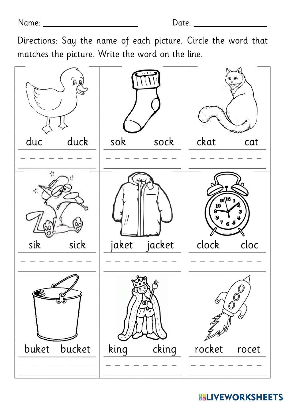 ck worksheets