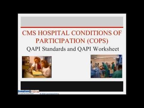 Cms Qapi Worksheet 2022