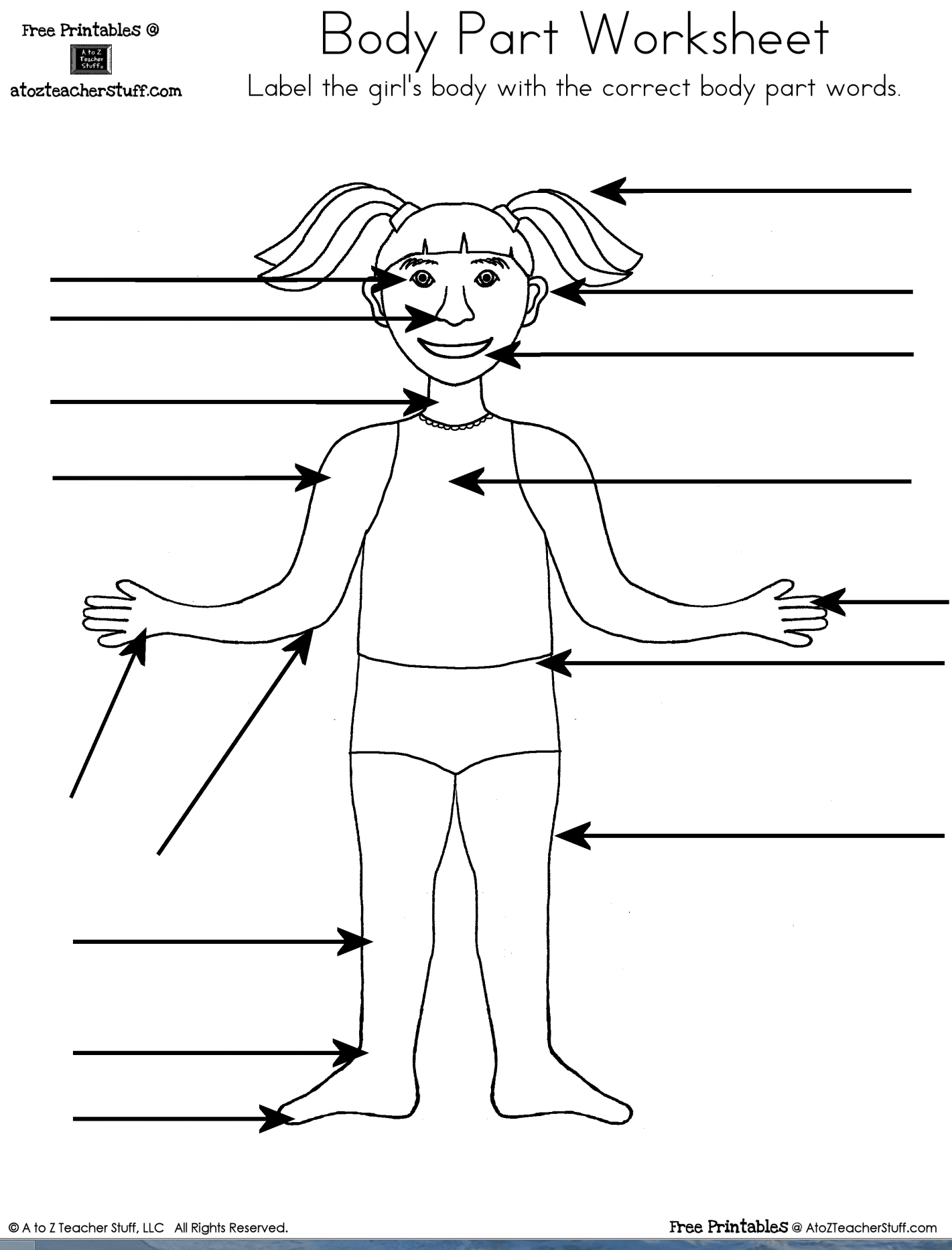 worksheets for parts of the body