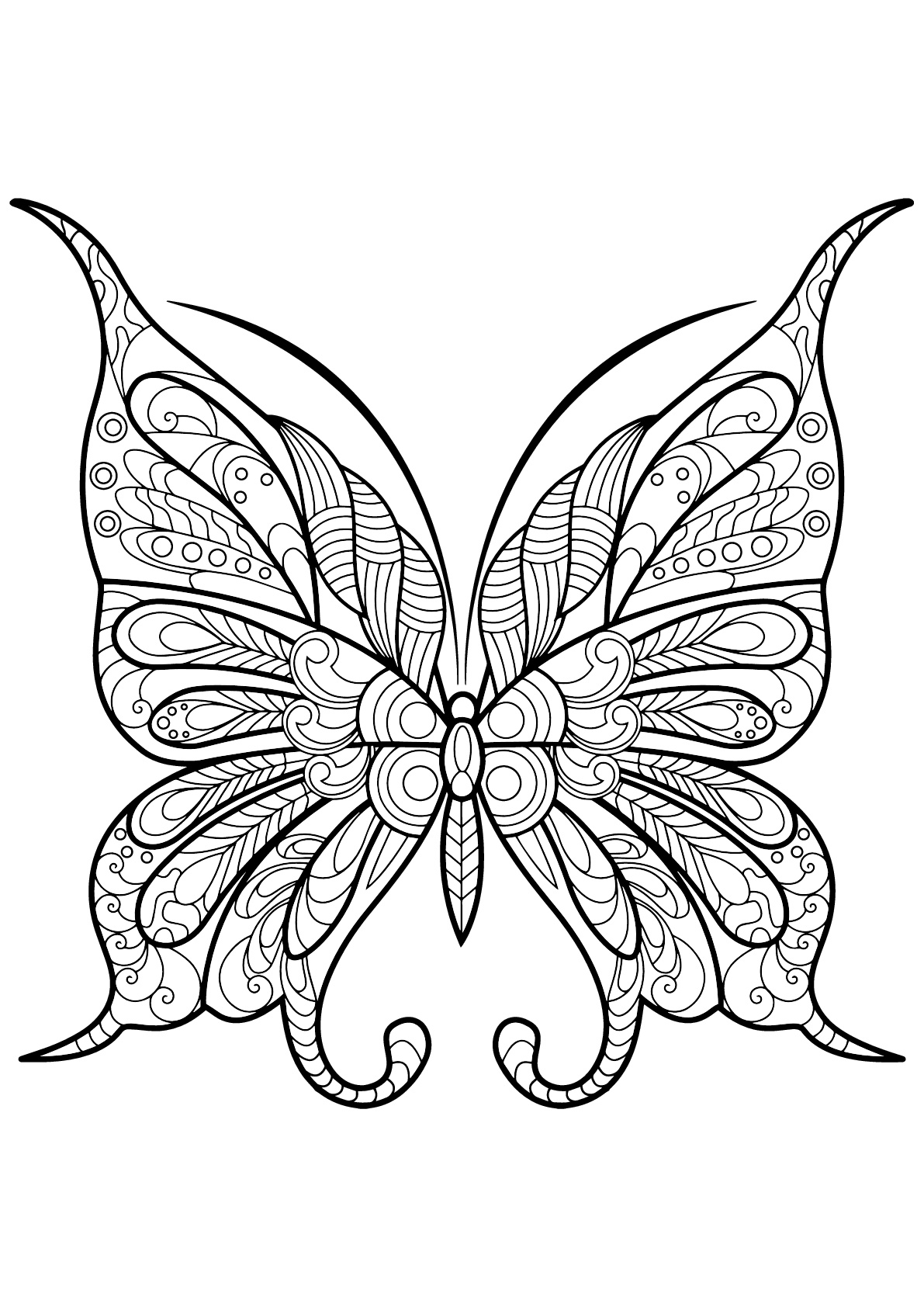 Collection Of Printable Butterfly Coloring Pages Free Printable