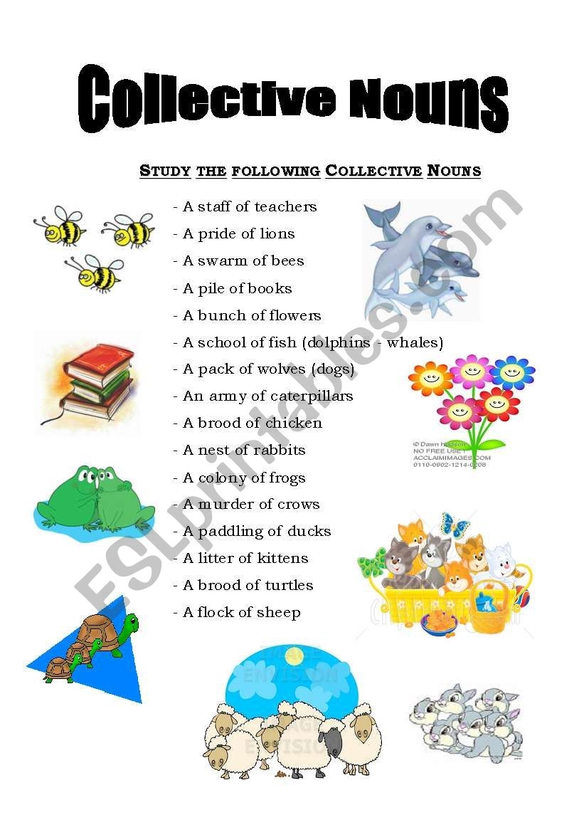 Collective Nouns Printable Worksheets