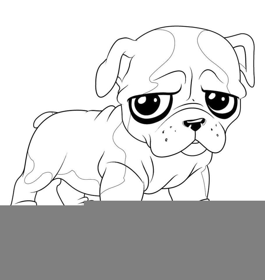 Coloring Cute Animals