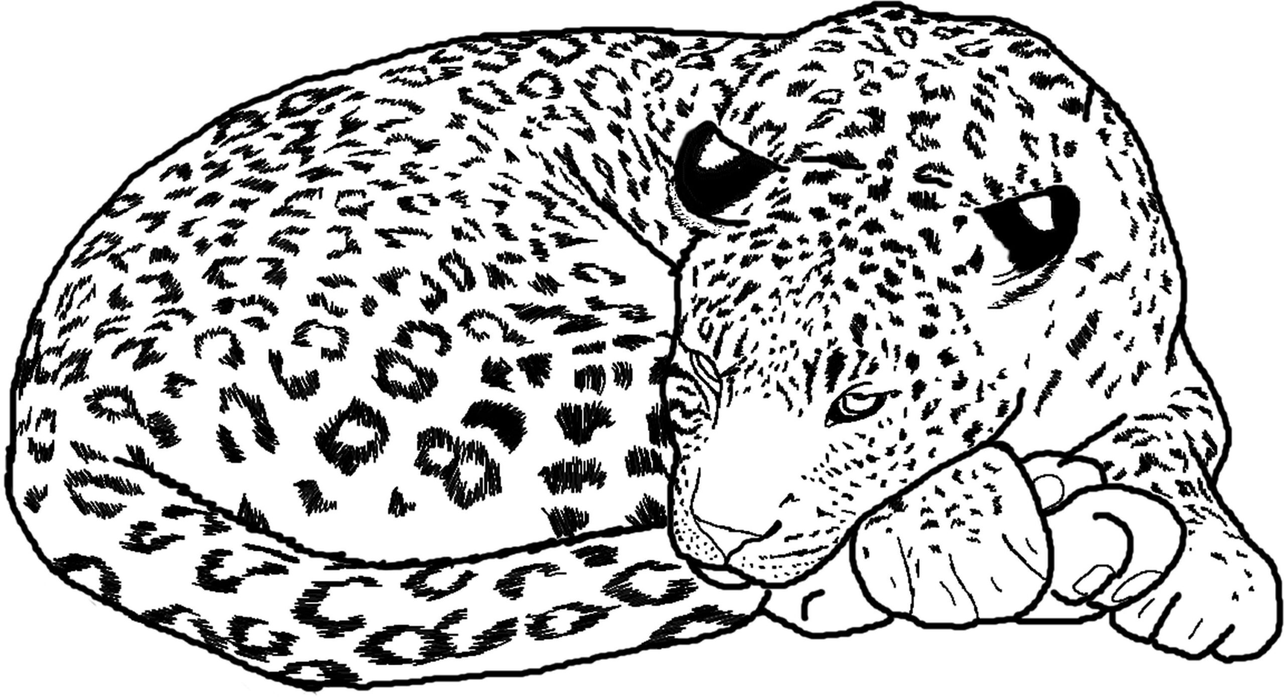 Coloring Pages Cheetah Girls Coloring Home