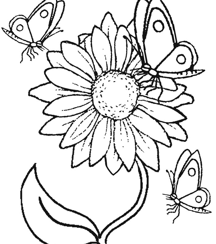 Coloring Pages Cute Sunflowers Coloring Pages Collection Images