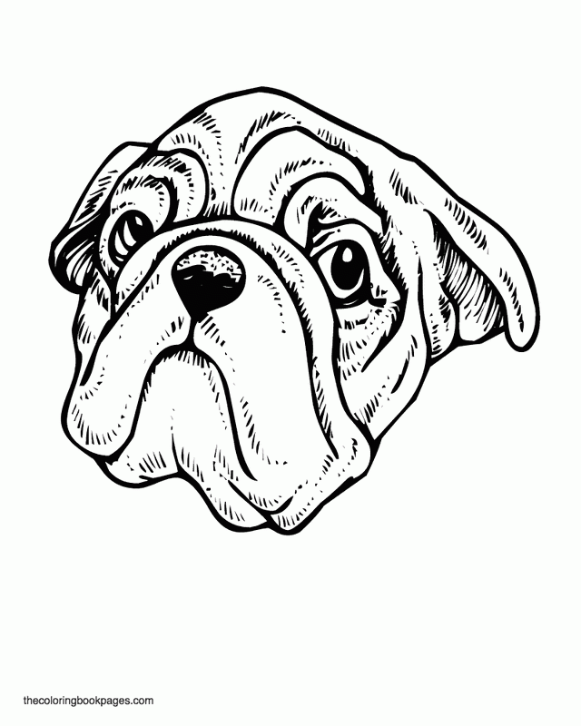Coloring Pages Of Pugs Coloring Home
