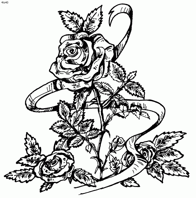 Coloring Pages Of Roses Coloring Home