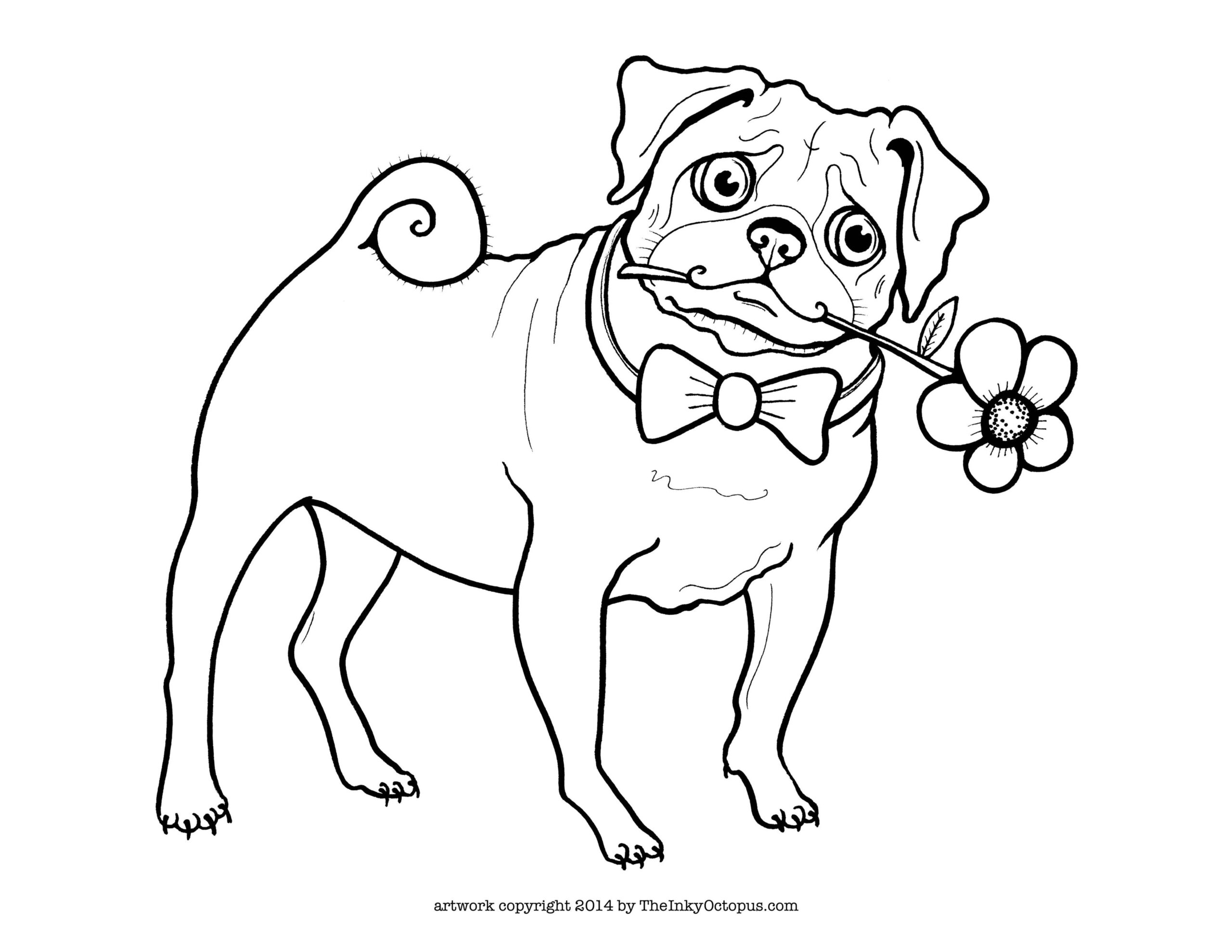 Coloring Pages Pug Coloring Home
