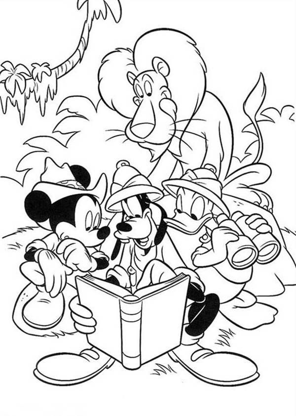 Coloring Pages Safari Coloring Home