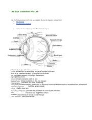 Cow Eye Dissection Pre Lab pdf Cow Eye Dissection Pre Lab Use 