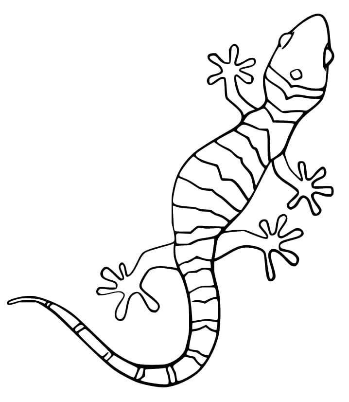 Crawling Gecko