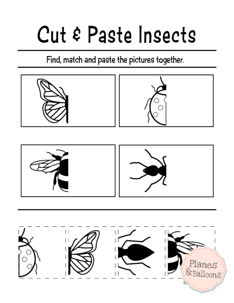 Cut And Paste Worksheets For Preschoolers