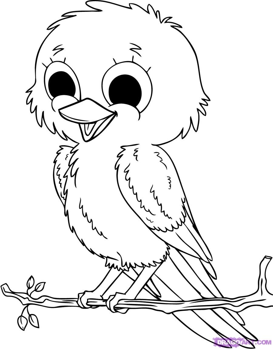 printable bird pictures to color