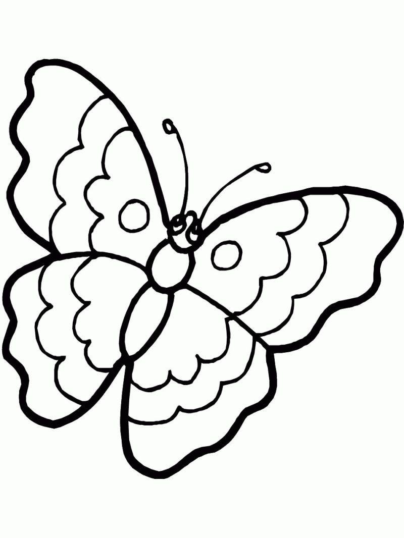 Cute Butterfly Coloring Pages For Adults Coloring Home