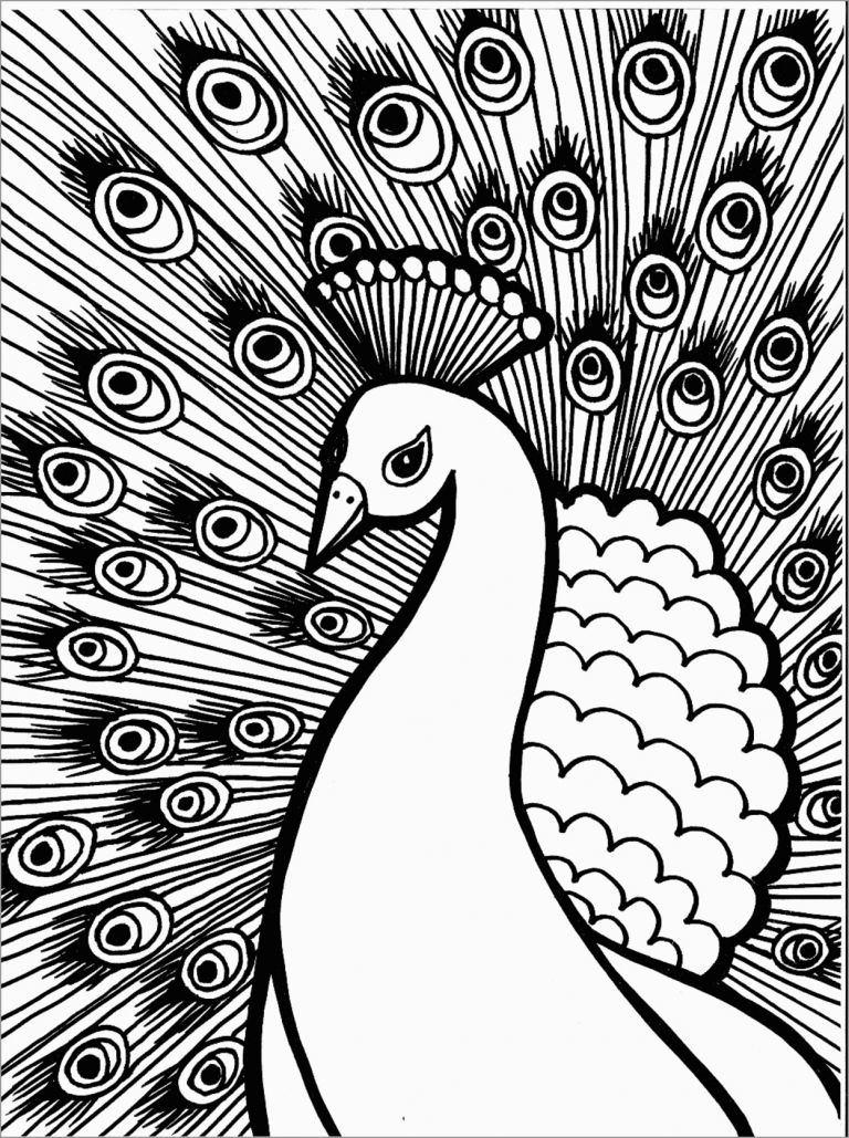 Cute Peacock Coloring Pages ColoringBay