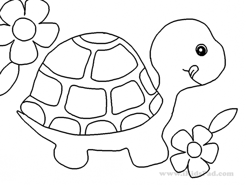 Cute Turtle Coloring Pages Coloring Home