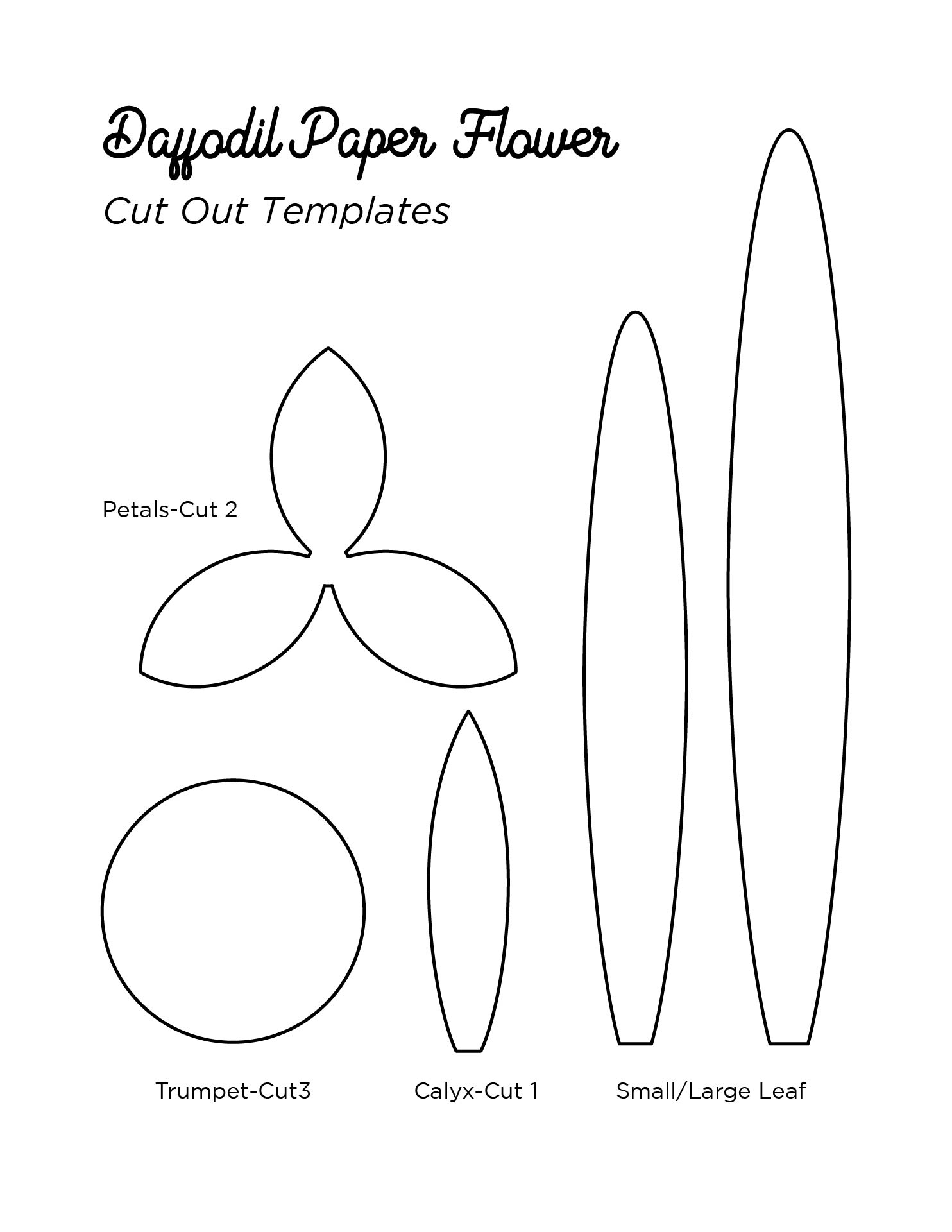 daffodil flower template