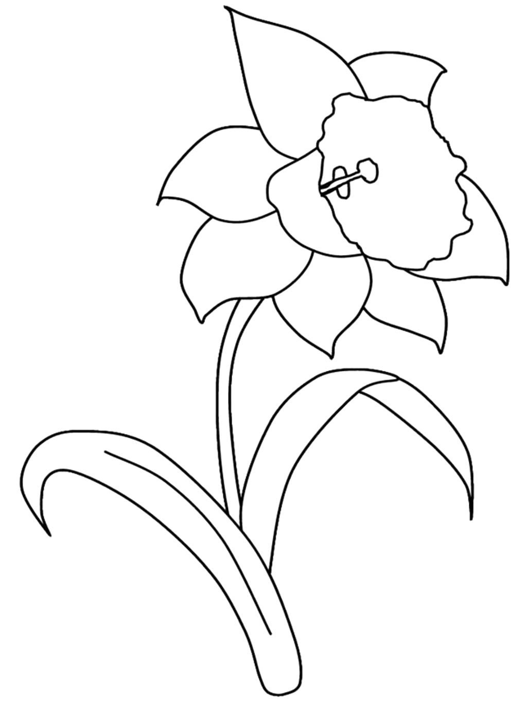 Daffodil Template Printable