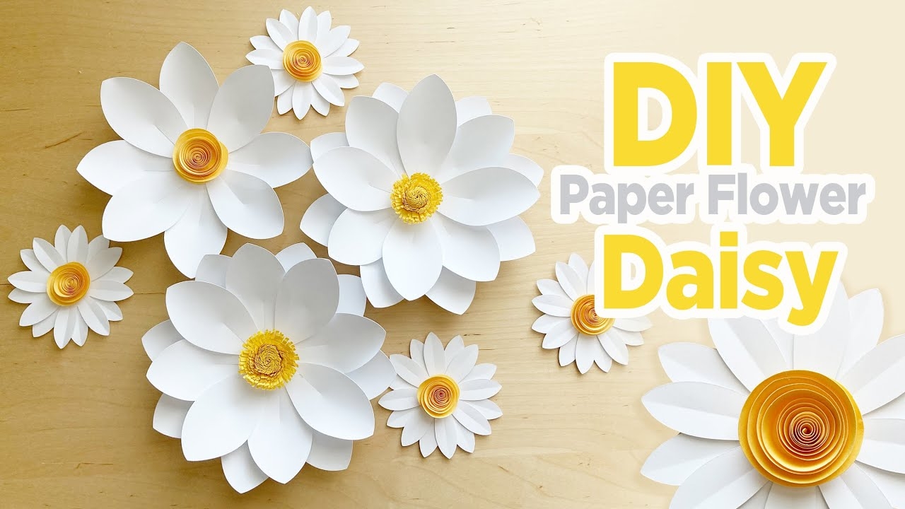 Daisy Flower Outline Template Best Flower Site