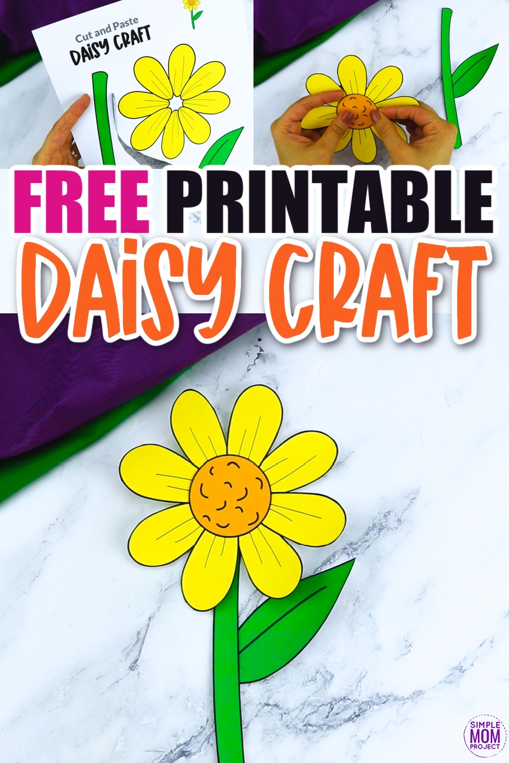 Daisy Flower Outline Template Best Flower Site