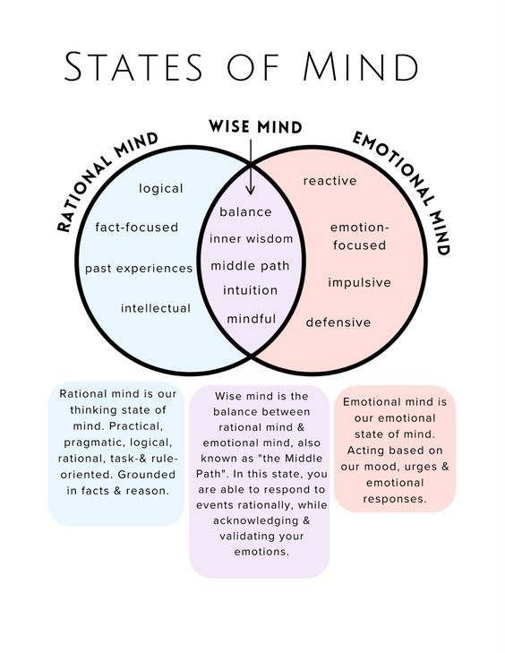 DBT Wise Mind Worksheet PDF Instant Download Therapy Tool For 