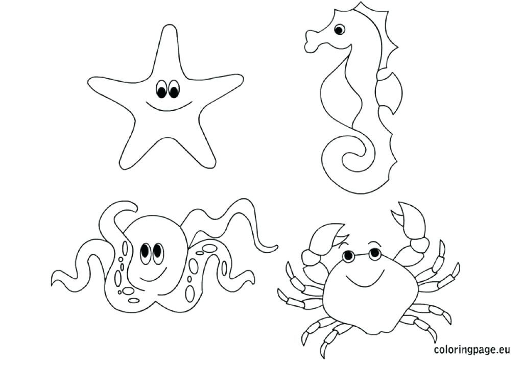 free coloring pages sea creatures