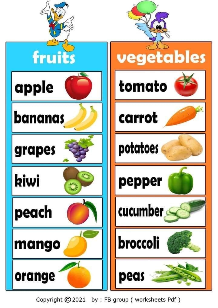 Difference Between Fruits And Vegetables Worksheet Dev onallcylinders