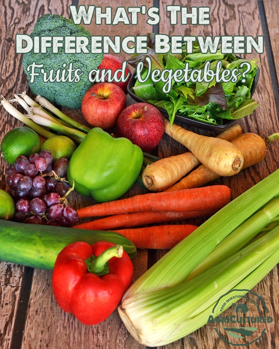 Difference Between Fruits And Vegetables Worksheet Printable 