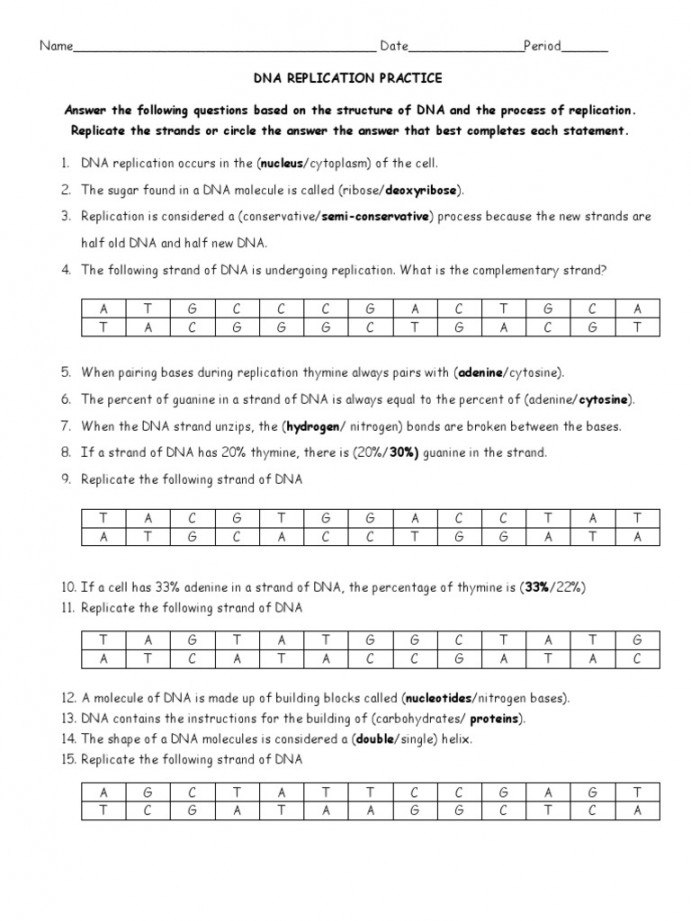 Dna Replication Practice Worksheet Answers Pdf Printable PDF Template