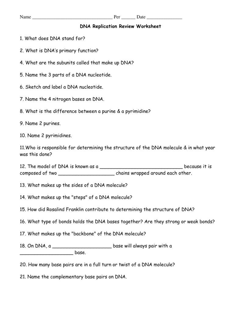 dna replication worksheet answers