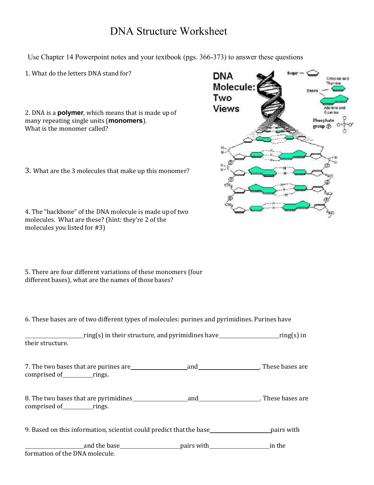 dna structure worksheet answer key pdf