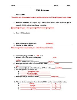 Dna Structure Worksheet Answer Key Pdf