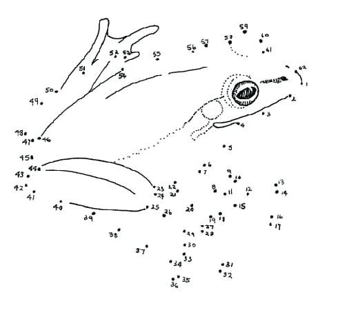 Dot To Dot Worksheets 1 100 Kidsworksheetfun