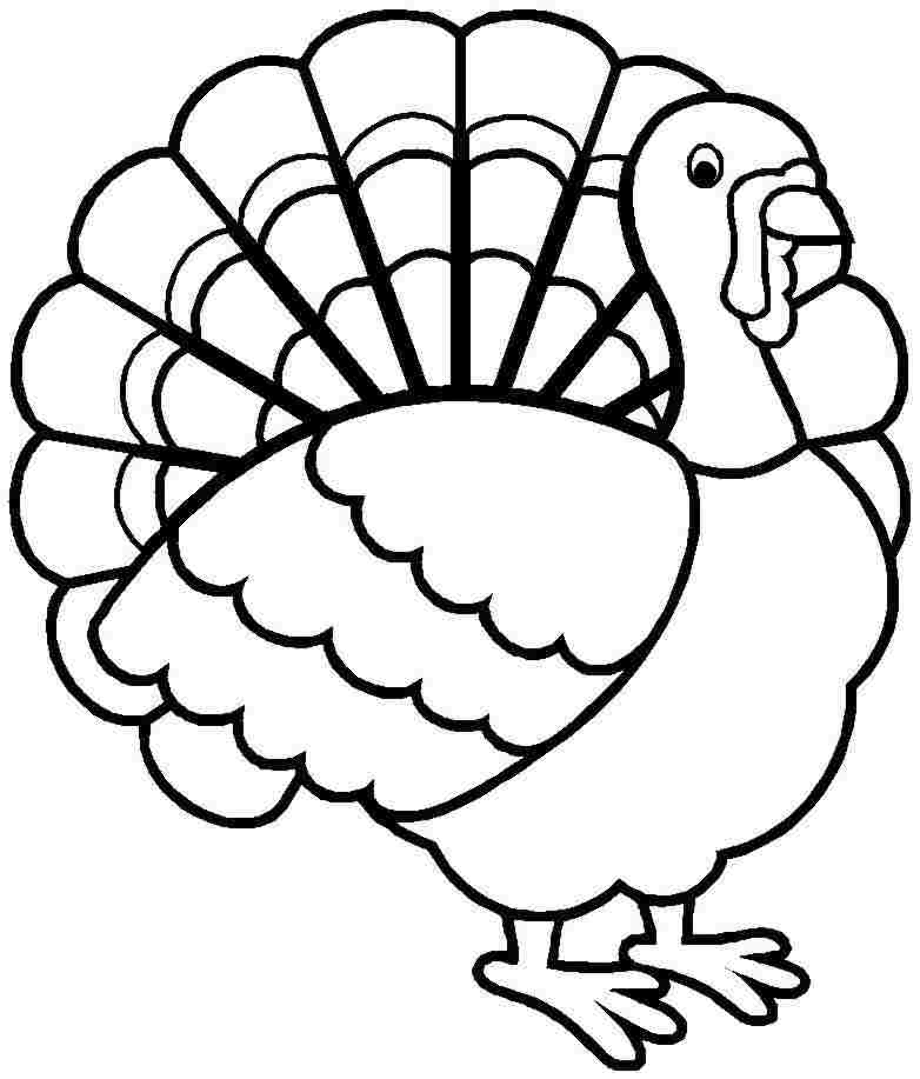 turkey cards printable