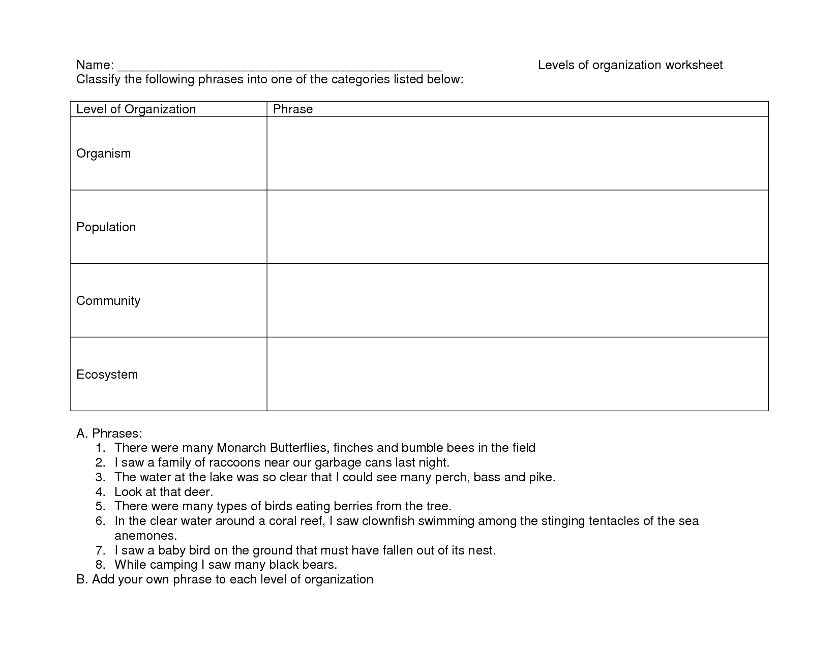 Ecosystem Pyramid Worksheet