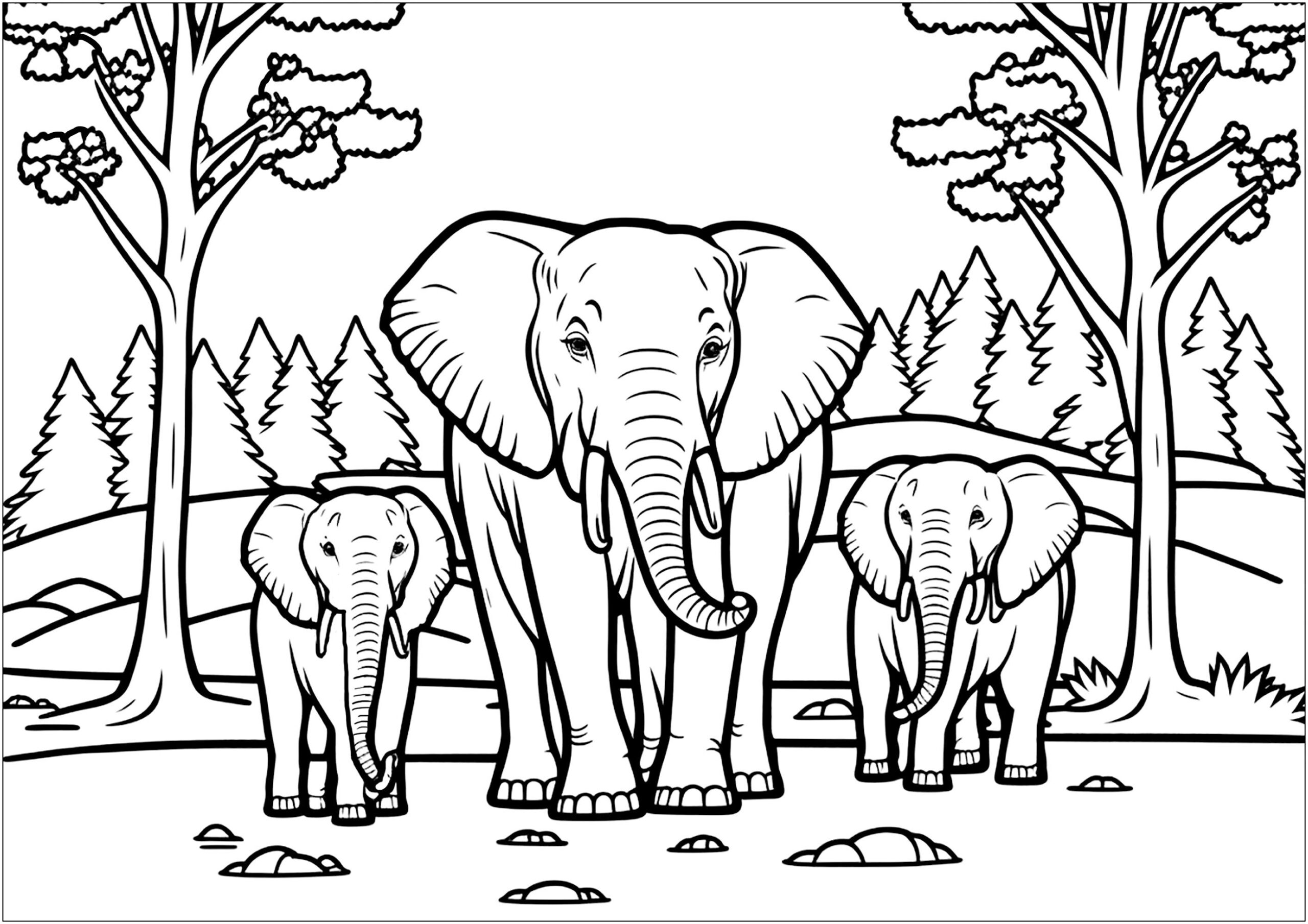 Elephant Family Elephants Kids Coloring Pages Page Page
