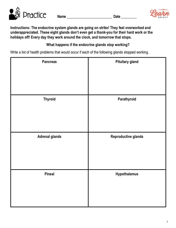 Endocrine System STEM Worksheets Library