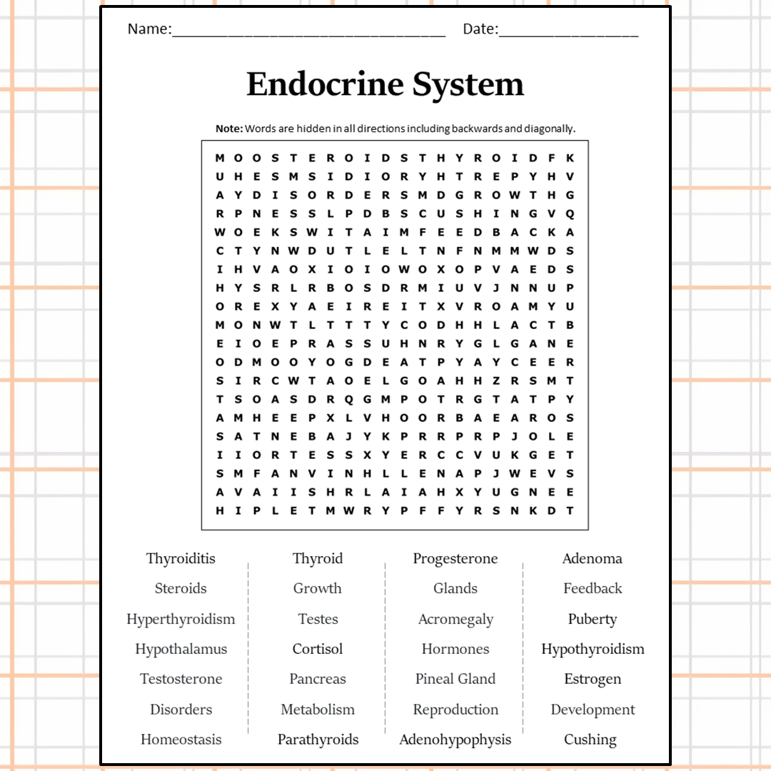 Endocrine System Word Search Puzzle Worksheet Activity PDF 