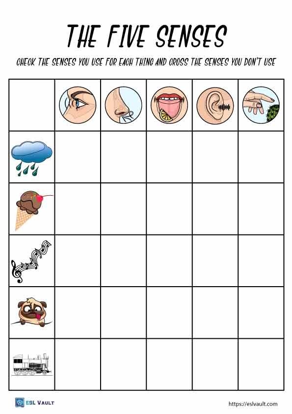 Environmental Science Class 1 Five Senses Worksheet 3 Worksheets 
