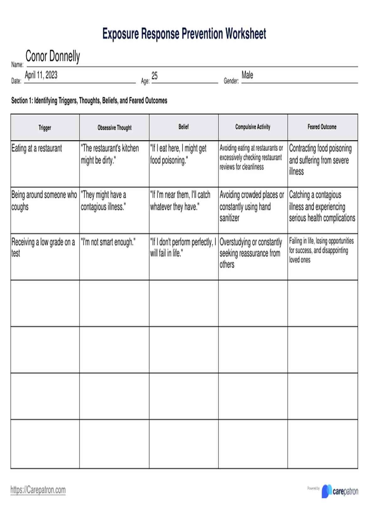 Exposure Response Prevention Worksheet Example Free PDF Download