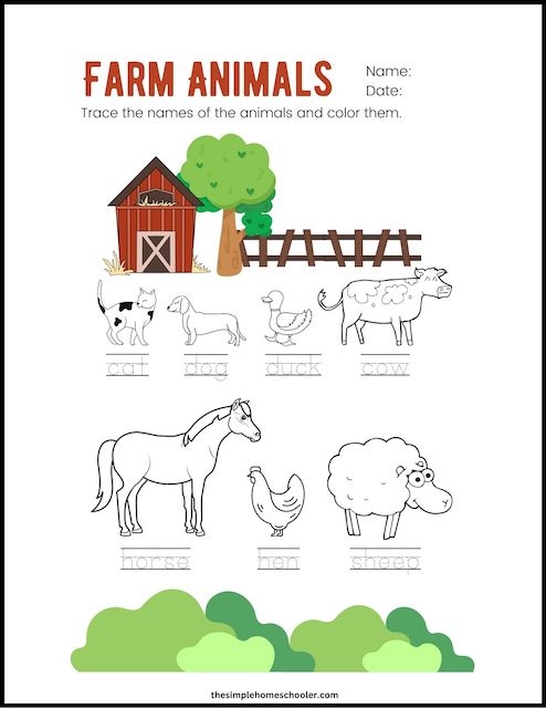 Farm Animals Picture Tracing Coloring Fine Motor Worksheets 